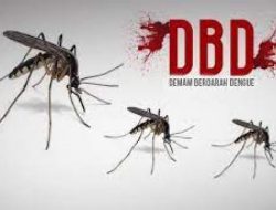 Fraksi PDI Perjuangan Soroti Tingginya Kasus DBD